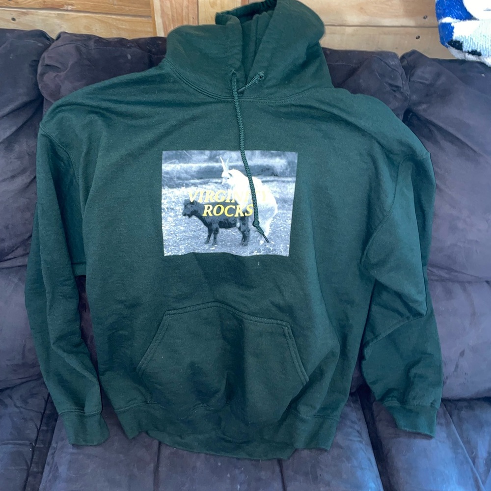 Virginity Rocks Hoodie